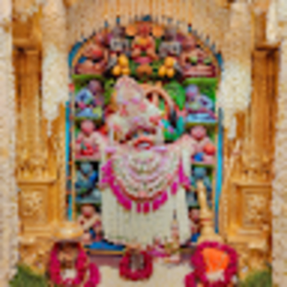 Meet your Posher, Darshil - Picture 1 of 1